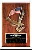 Eagle Casting on Walnut Plaque (14"x20")